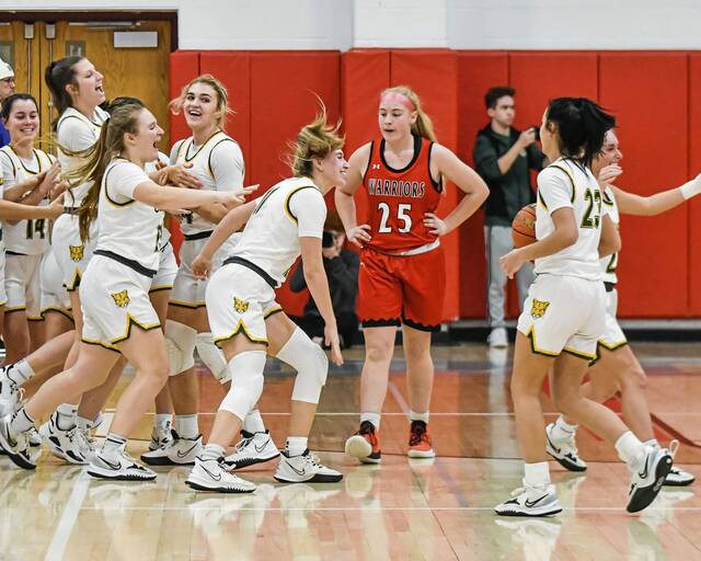 Blackhawk handles Elizabeth Forward, rolls into Class 4A finals undefeated