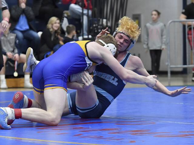 Derry Area’s Hirak comes out of nowhere to become PIAA wrestling contender
