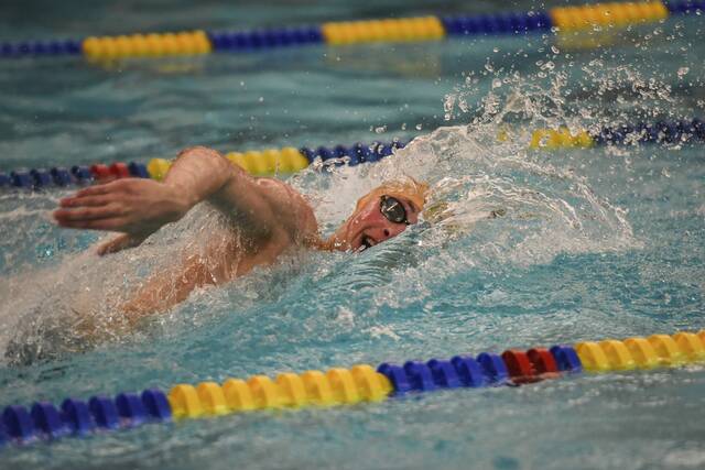 WPIAL’s swimming best ready to do battle in return to Pitt’s Trees Pool