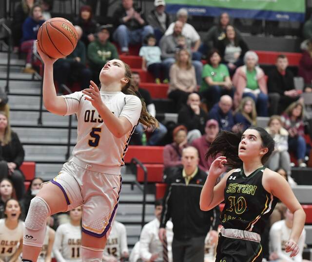2022 WPIAL Class 2A girls basketball championship breakdown: OLSH vs. Neshannock