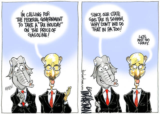 state and federal government cartoon