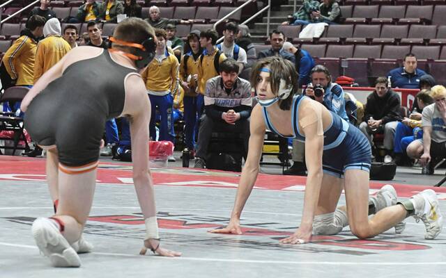 Burrell’s Hornack navigates tough road at PIAA Class 2A Southwest Regional