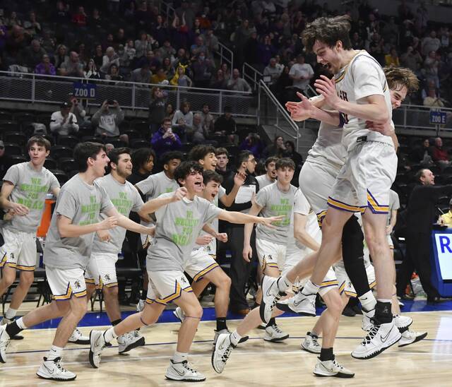 Jake DiMichele, OLSH dominant again in WPIAL Class 2A championship win over Fort Cherry