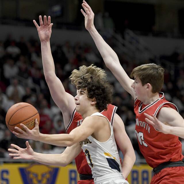 Trib HSSN Boys Basketball Team of the Week: March 6, 2022