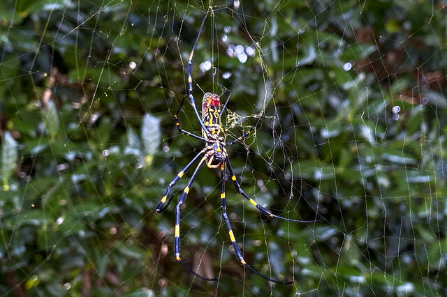 4821690_web1_AP22066728774569
