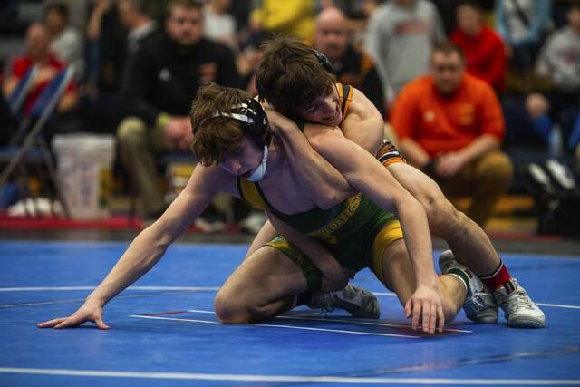 WPIAL Class 3A coaches working on proposal to save qualifiers