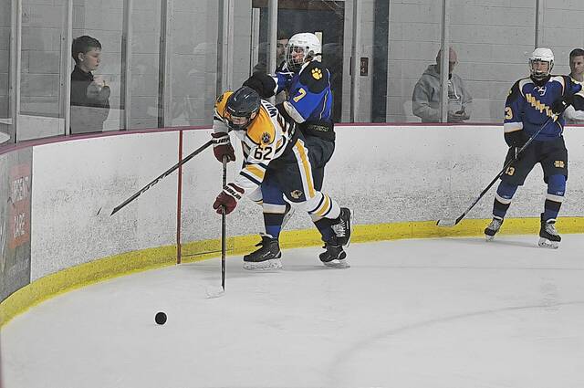 Win total shows growth of Hampton hockey