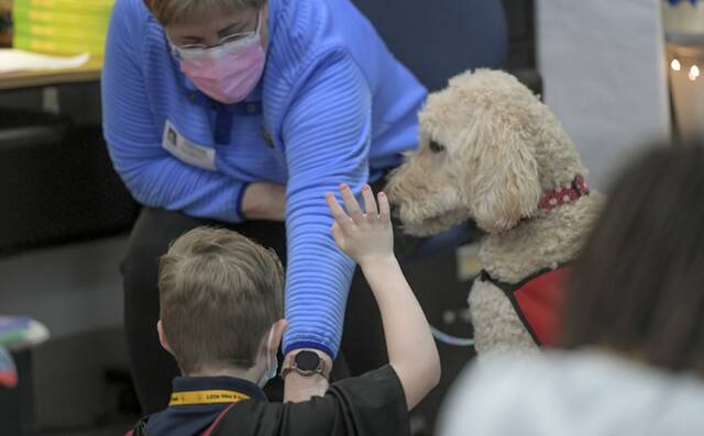 4824645_web1_vnd-nkatherapydogsvisit101-031022