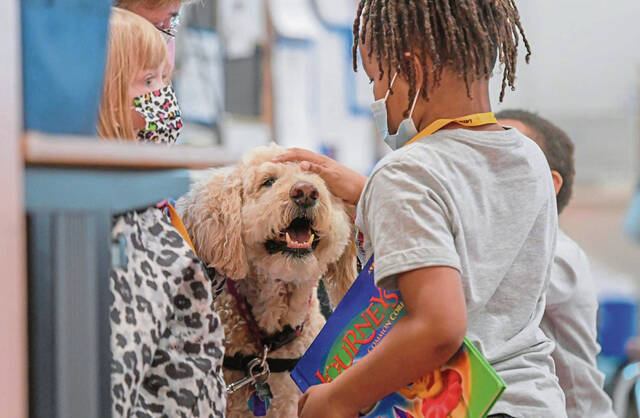 4824645_web1_vnd-nkatherapydogsvisit103-031022