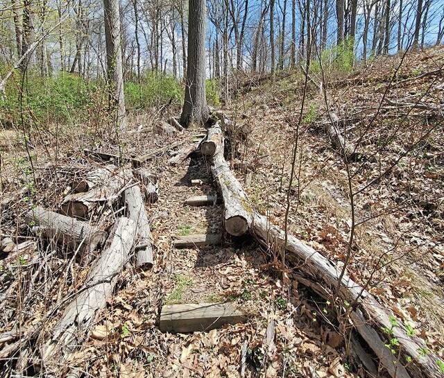4828942_web1_HER-OharaParkTrail-031722