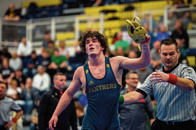 WPIAL roller-coaster ride sends 4 Franklin Regional wrestlers to states