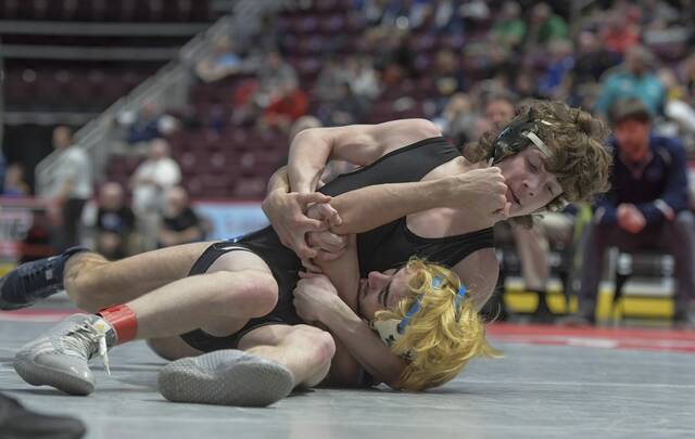 Burrell’s Hornack following game plan at state tournament