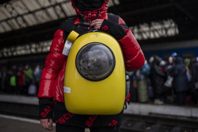 4832985_web1_4832985-3762161af0f043f4b930957e02e4cb69