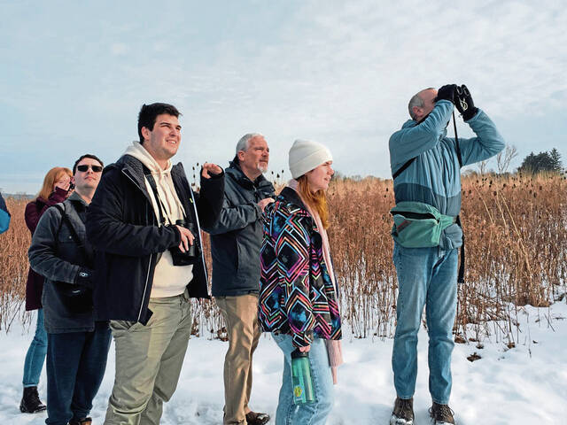 4835572_web1_gtr-BirdWalk4-020322
