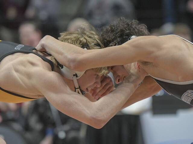 PIAA Class 3A wrestling championships: How WPIAL wrestlers fared, Day 2
