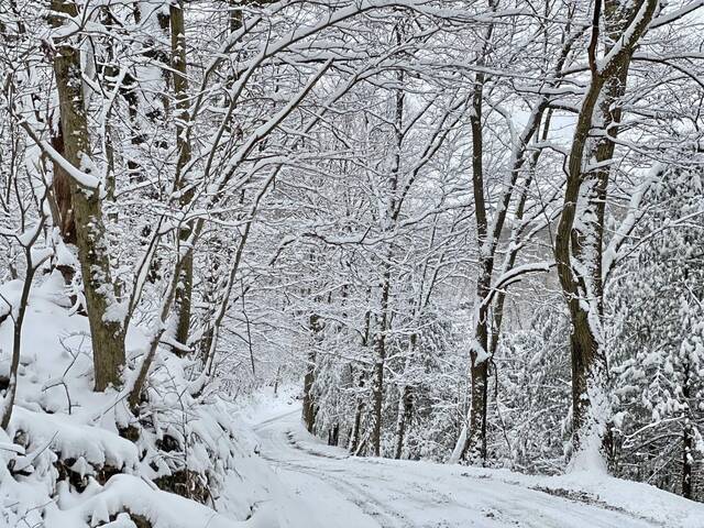 4839328_web1_ptr-SnowSatB-031222