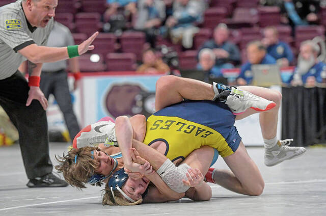 Burrell’s Hornack finishes fourth, Kiski Area’s Morlacci sixth at PIAA wrestling tournament