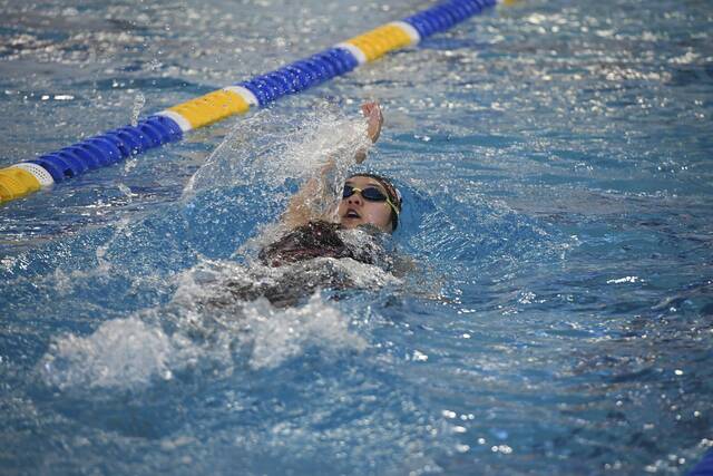 A-K Valley, Westmoreland County swimmers thrilled to return to state meet at Bucknell