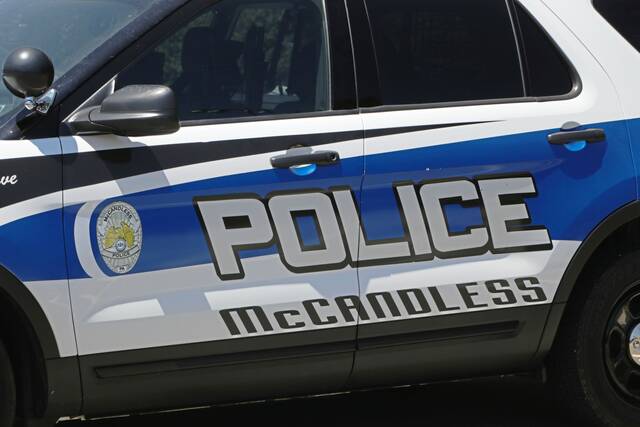 4855819_web1_WEB-mccandless-police-car-2