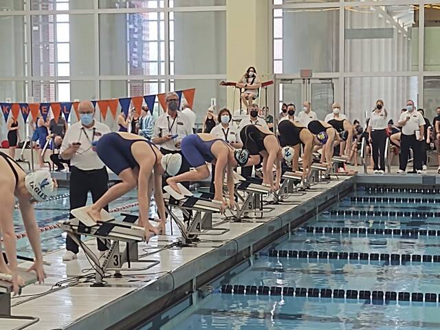WPIAL swimmers secure top seeds for PIAA Class 2A championship heats
