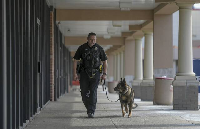 4869156_web1_vnd-PoliceDogDax3-031922-