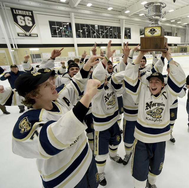 Norwin hockey rolls into state final against West Chester East