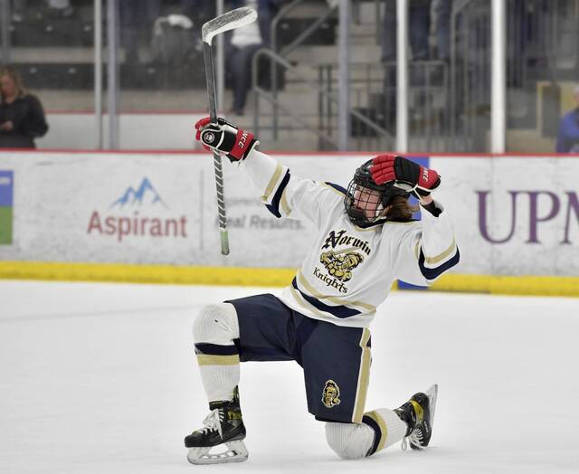 Senior leadership, sophomore talent helps Norwin reach Pennsylvania Cup final