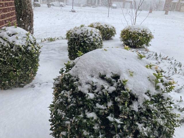 4889957_web1_ptr-weather702-032822