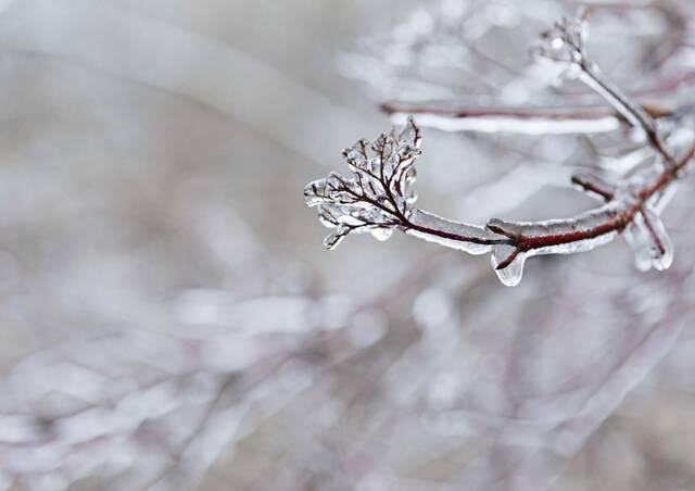 4895993_web1_web-iceB