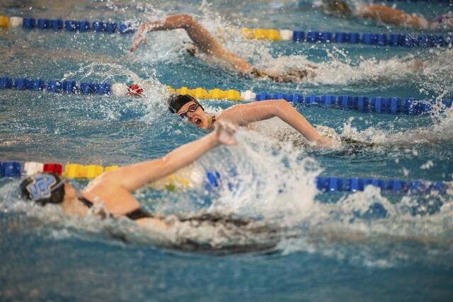 Plum swimmers cap special season at PIAA championships