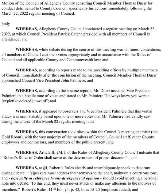 4931388_web1_Duerr-Censure-motion-1