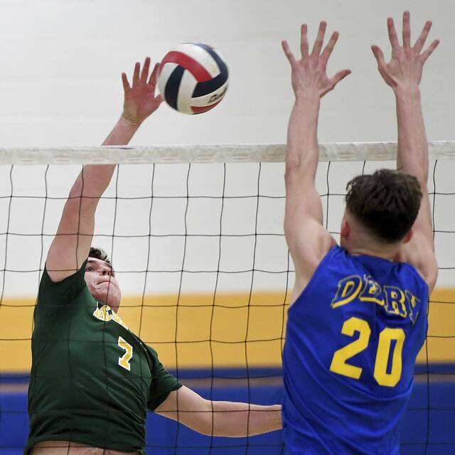 Deer Lakes’ junior-heavy volleyball lineup gaining experience early on