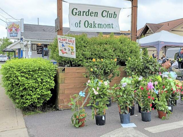 4944832_web1_pal-oakmontplantsale-042122 4944832_web1_pal-oakmontplantsale-042122