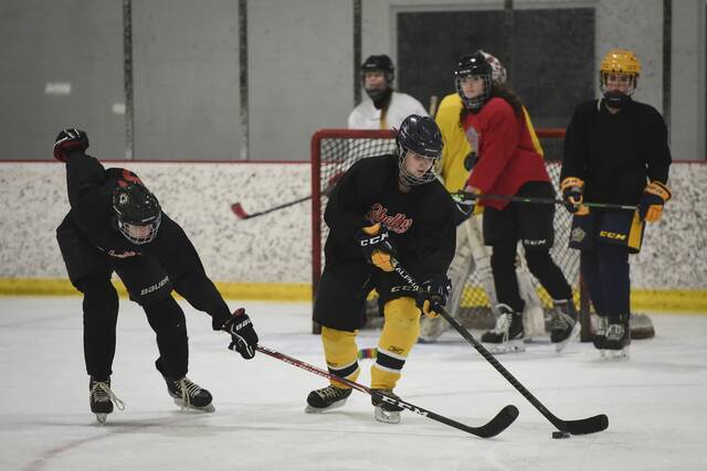 Delayed 2 years by pandemic, PIHL adds girls division for high school hockey