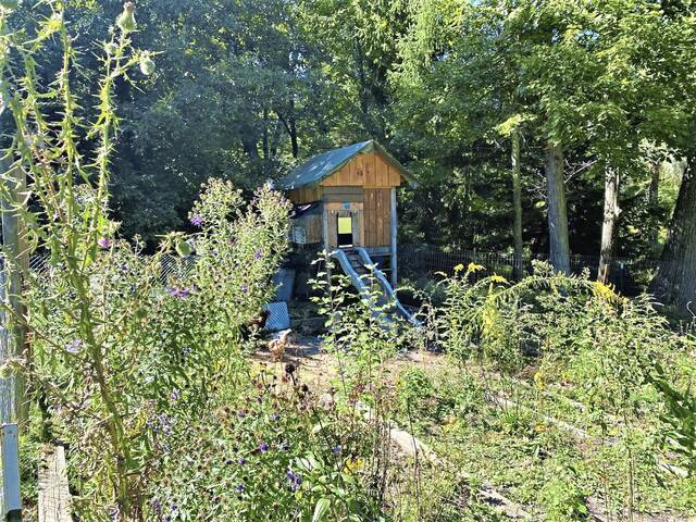 4960945_web1_pcj-LawnToNatureProgram5-042822