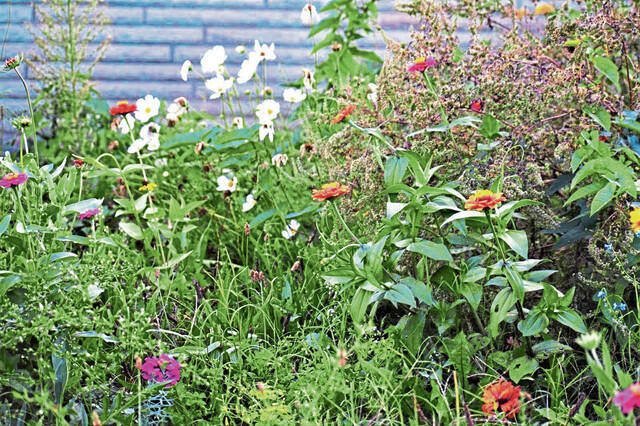 4960945_web1_pcj-LawnToNatureProgram6-042822