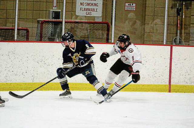 Hampton sophomore skates to national hockey championship