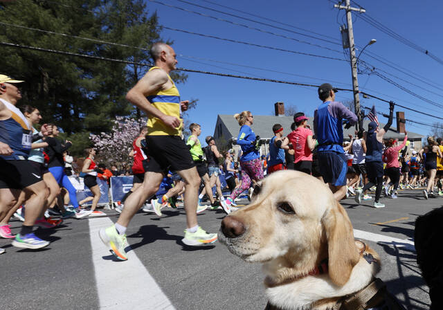 4963018_web1_4963018-f23b2a4e29a84e34ba5fa403c348f53f