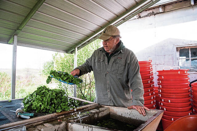 4989395_web1_gtr-FarmersMarket004-042822