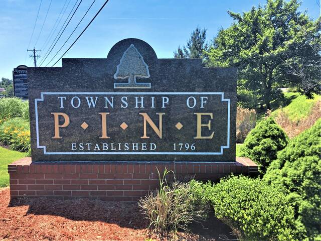 Police: Michigan man arrested after stolen car runs stop sign in Pine