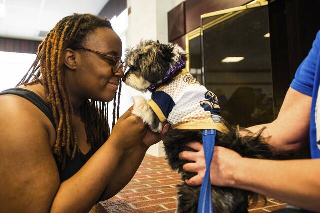 5008543_web1_gtr-collegedogdays2-042722