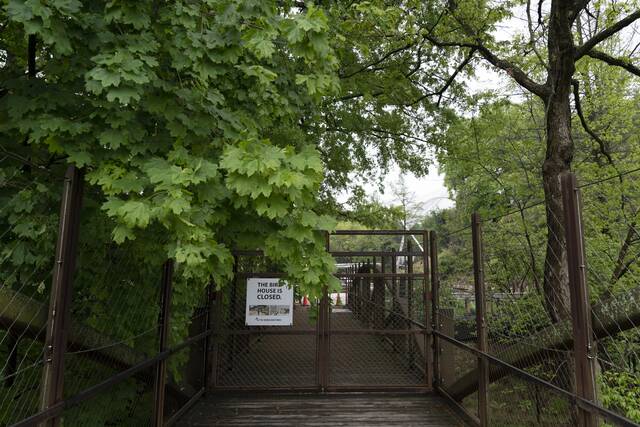 5017403_web1_5017403-9f4ace1f8f91464fb559b3ec14a2eb9b