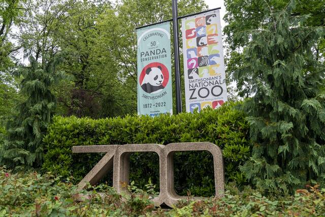 5017403_web1_5017403-c1cf163c230a459db9036ac1c0d81a5f