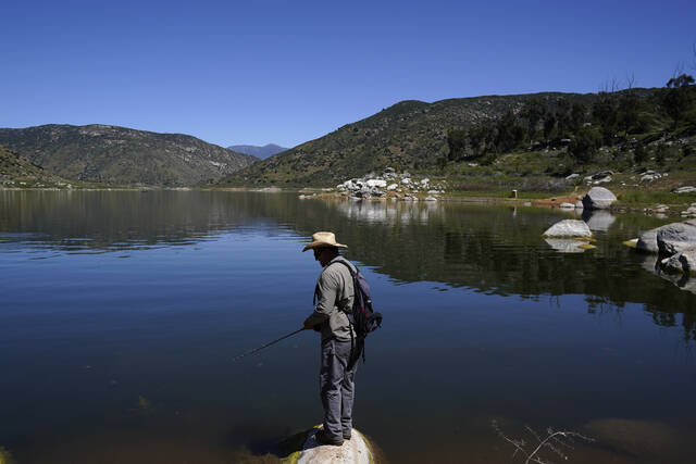 5019775_web1_5019775-56184dd32a474429aea052e83708c0f2