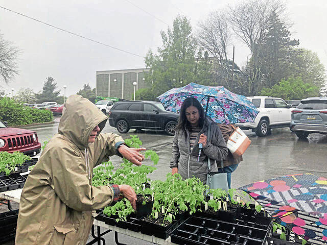 5026159_web1_May-Mart-tomato-sale