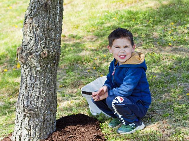 5033066_web1_bp-arborday-052622-1