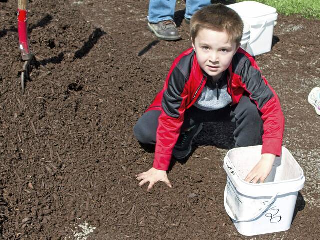 5033066_web1_bp-arborday-052622-7