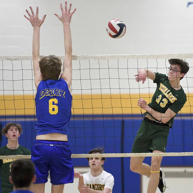 Deer Lakes, Plum expect tough matches in 1st round of WPIAL boys volleyball playoffs