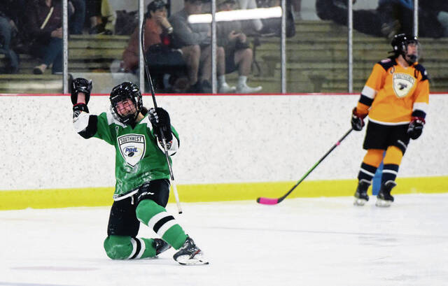 Bethel Park senior makes impact during inaugural Western Pa. girls high school hockey season