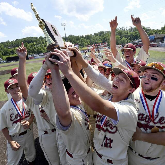 Unbeaten Serra Catholic captures 4th WPIAL baseball title